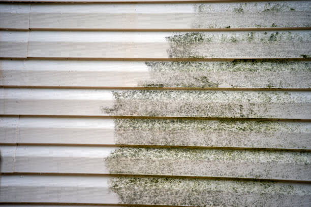 Best Siding for New Construction  in Moores Mill, AL