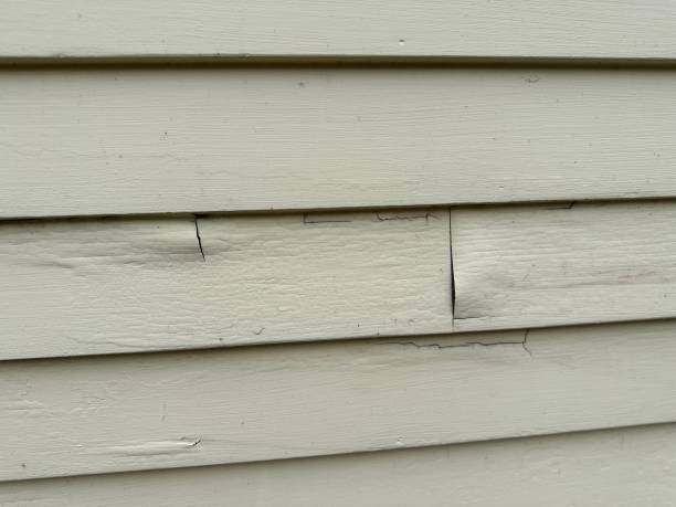 Best Insulated Siding Installation  in Moores Mill, AL